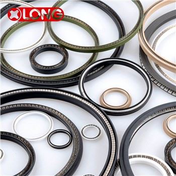 PTFE اسٹیم اسپرنگ اینرجائزڈ لپ سیل