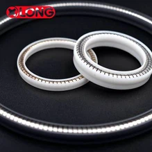 موسم بہار حوصلہ افزائی PTFE پسٹن سیل